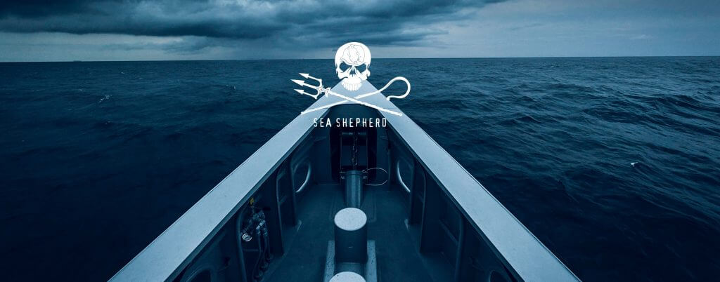 Sea Shepherd, le berger des océans