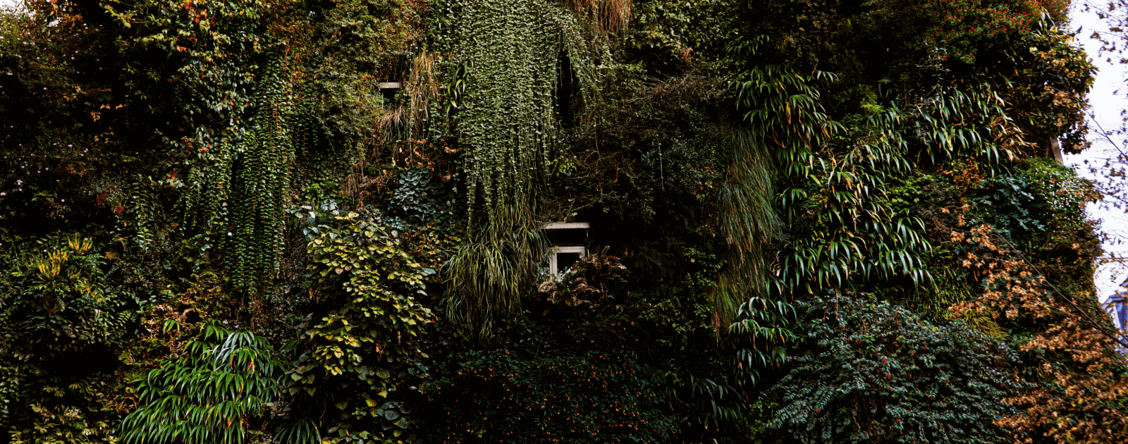 Des maisons en fleurs